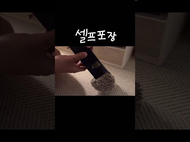 난 아직도 심장이 벌렁거려 #hedgehog #고슴도치