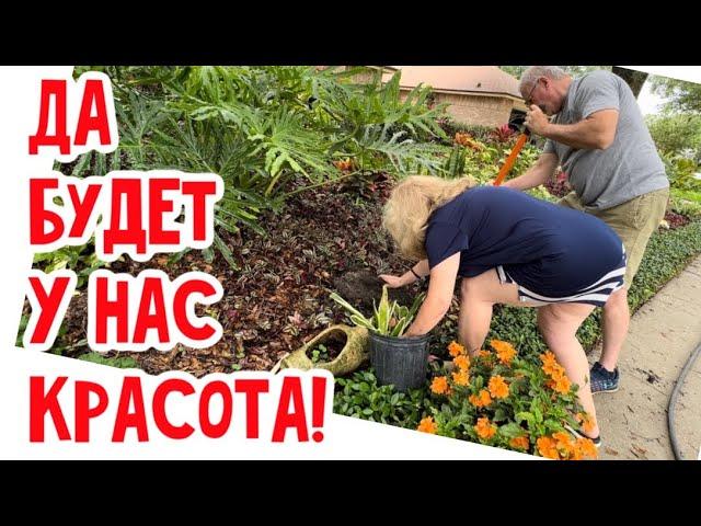 Все сами, своими руками и силами… АКИ ПЧЁЛЫ! #сша #натальяфальконе #usa