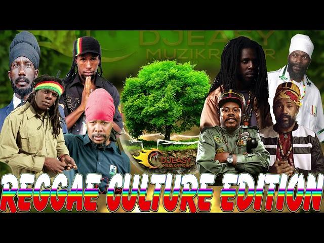 REGGAE MIX 2020 CULTURE EDITION MORGAN HERITAGE,CAPLETON,SIZZLA,LUCIANO,CHRONIXX,RICHIE SPICE & MORE