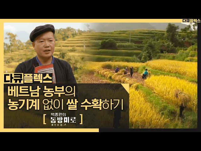 [HOT] a rice farmer, 다큐플렉스 20201217