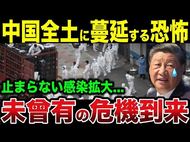 中国全土に蔓延する恐怖...とまらない感染拡大で中国崩壊へ【ゆっくり解説】