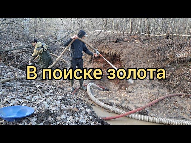 В поиске золота