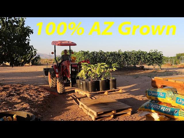 Starting a Fruit Tree Nursery | Desert Adapted Fruit Trees for Everyone