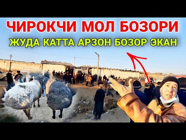 БУГУНГИ ВИДЕО! ЧИРОКЧИ МОЛ БОЗОРИ НАРХЛАРИ 26 ЯНВАРЬ 2022 CHIROQCHI MOL BOZORI NARXLARI.