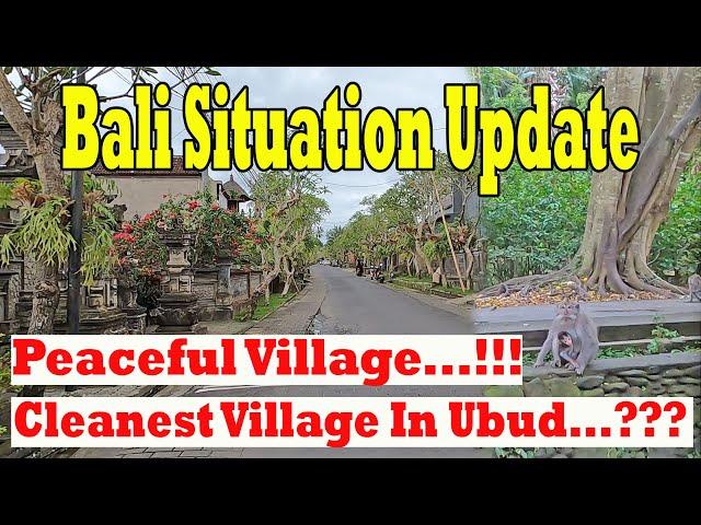 The Cleanest and Peaceful Village In Ubud..??? Nyuh Kuning Village Ubud | Bali Situation Update