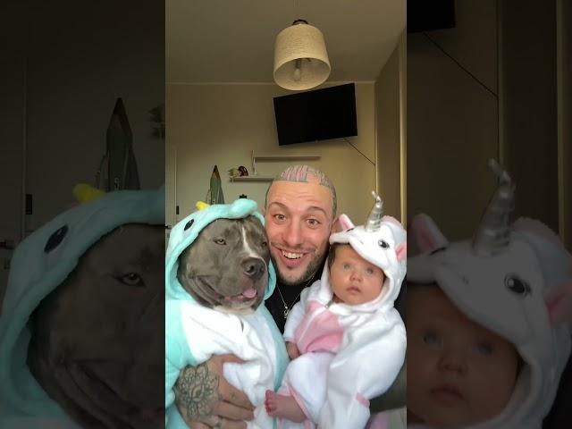 Mino e Sophie ️.       #animal #dog #love #baby #bebe #dogs #americanbaby