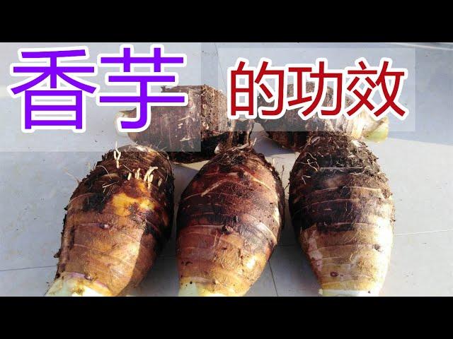 香芋的功效和作用，香芋食疗方法,香芋食用禁忌