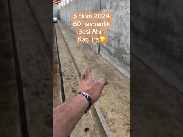 5 Ekim 2024 60 hayvanlık besi ahırı maliyeti