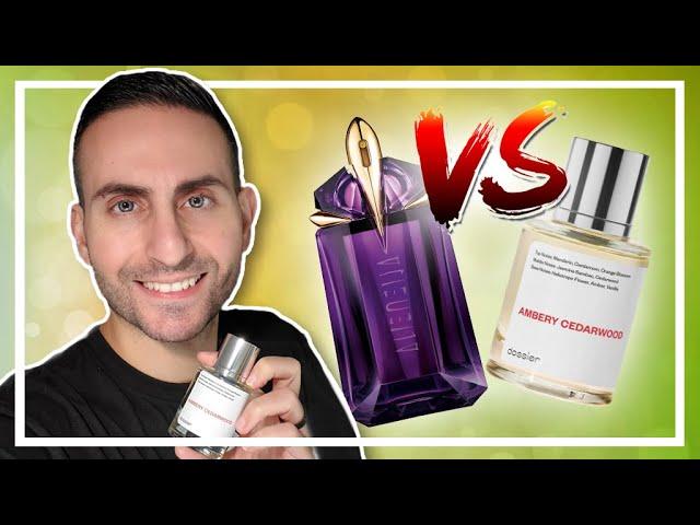 THE MOST INEXPENSIVE & ACCURATE MUGLER ALIEN ALTERNATIVE! | DOSSIER AMBERY CEDARWOOD REVIEW!