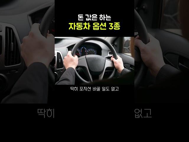 포기 불가한 자동차 옵션 3선