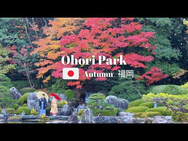 Explore FUKUOKA'S Hidden Gems in Ohori Park this Autumn 2024!