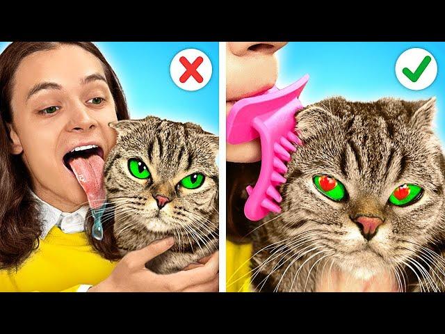 TikTok-Gadgets für KATZEN! KATZE SCHMUGGELN | Tricks für HAUSTIERBESITZER von La La Lebensfreude