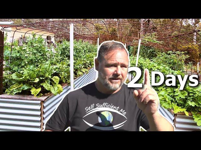 21 Days Eating ONLY What We Can Grow | The Movie