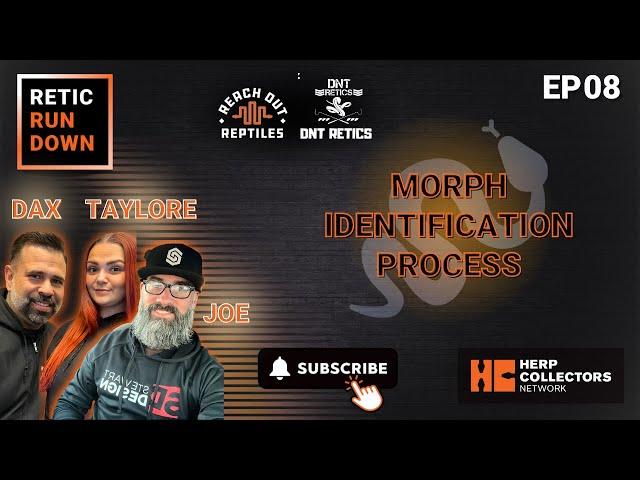 EP08 - Morph Identification Process