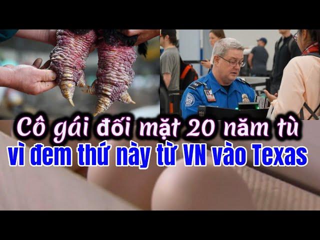 Đối diện án tù 20 năm vì đem thứ này từ Việt Nam vào Texas