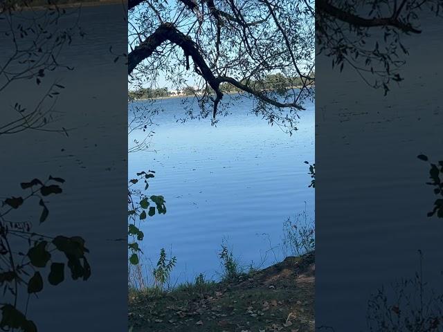 Sailboat on Eagle Lake, MN #sailboat