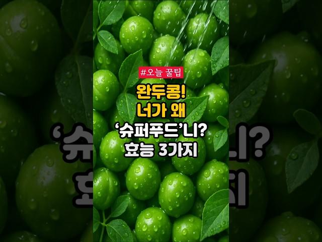 완두콩! 너가 왜 '슈퍼푸드'니? 효능 3가지 #건강 #건강정보 #완두콩 #슈퍼푸드