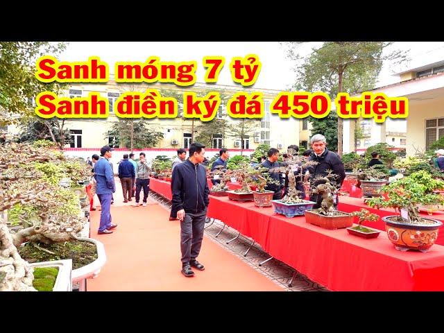 Cả làng kéo đến triển lãm xem cây tiền tỷ, sanh nam điền ký đá, sanh lá móng