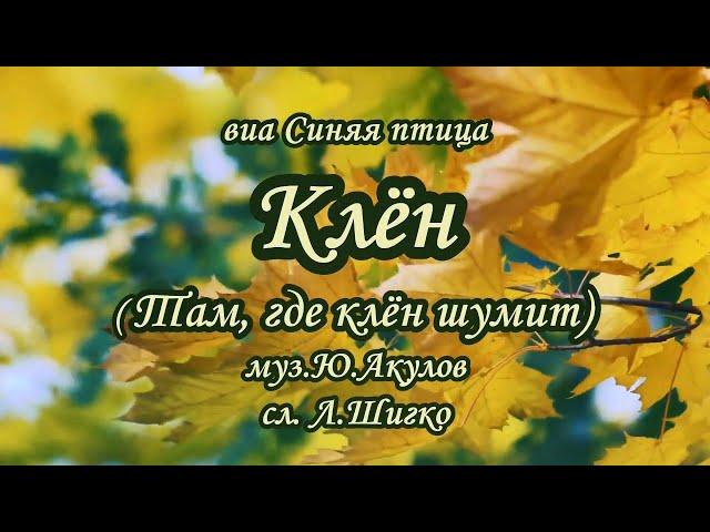 виа *Синяя птица*-Клен(Там .где клён шумит)-караоке