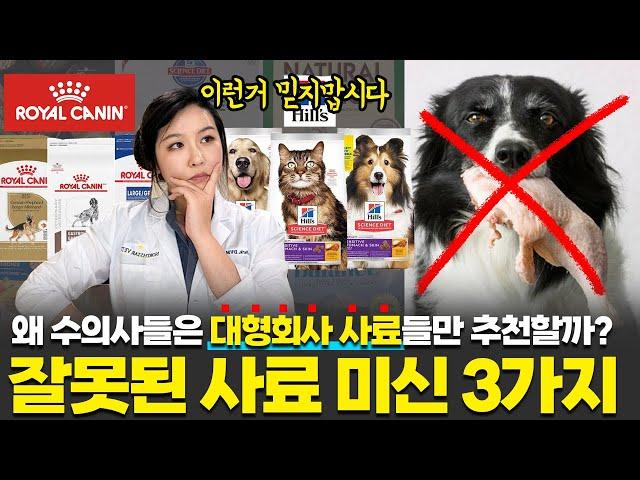 수의사가 밝히는 강아지 고양이 집사라면 한번쯤 들어봤을 사료에 대한 미신 Top 3