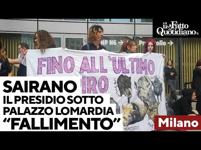 Psa e maiali uccisi a Sairano, presidio sotto la Regione Lombardia: "Fallimento delle istituzioni"