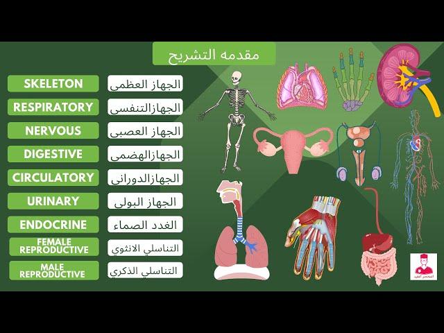 أفضل مقدمه في علم التشريح - شرح جميع اجهزه جسم الانسان