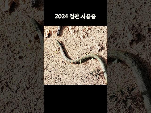 시공현장에서 이게 나왔다?! 우드홈 봄 현장 스케치 역대급 사건! #전원주택 #단독주택 #세컨하우스