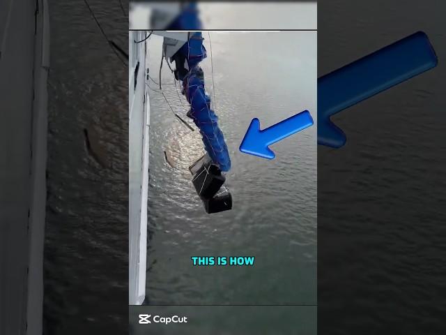 "Emergency at Sea: The Rapid Escape System"
