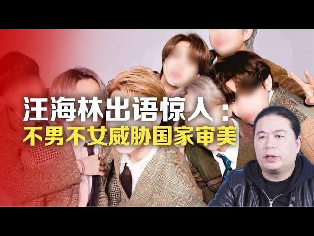 汪海林出语惊人：不男不女威胁国家审美