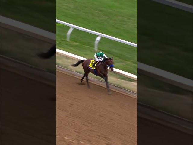 Flightline OBLITERATES the Breeders' Cup Classic