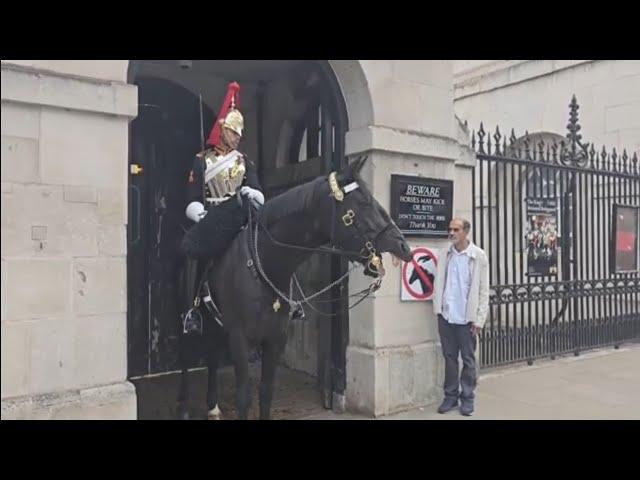 Kings guard on full alert. man smoking next to horse police question him #royalhorseguard