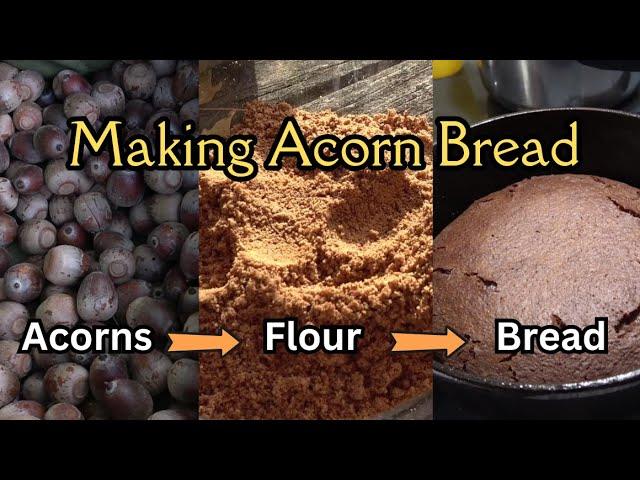 Making Acorn Bread from Scratch