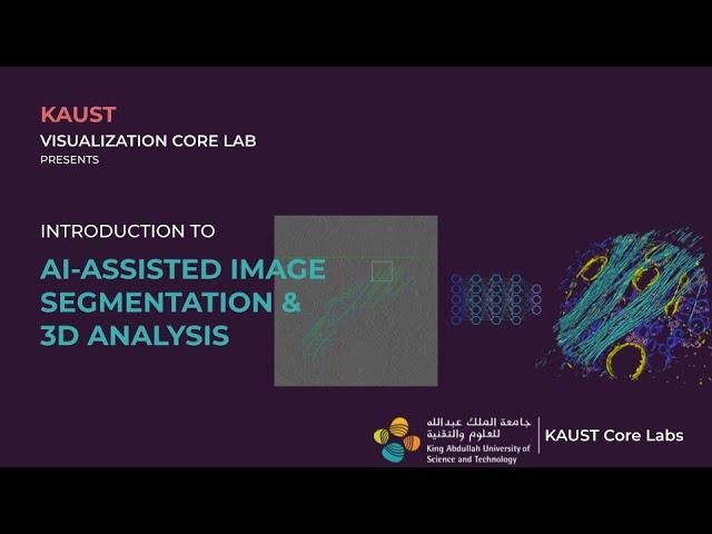 AI Assisted Image Segmentation and 3D Analysis using Avizo and Ilastik