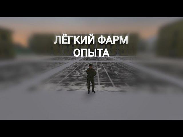 АРМИЯ ЛЕГКИЙ ФАРМ ОПЫТА, САМЫЙ КРУТОЙ НАРЯД // MTA PROVINCE