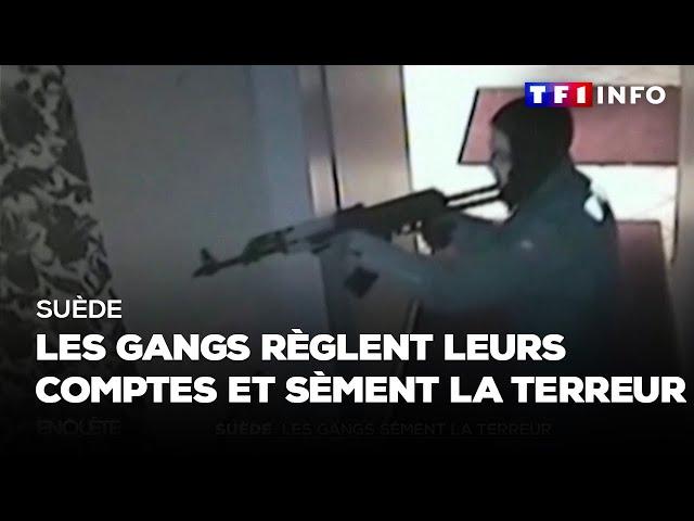 Suède : les gangs règlent leurs comptes et sèment la terreur｜TF1 INFO