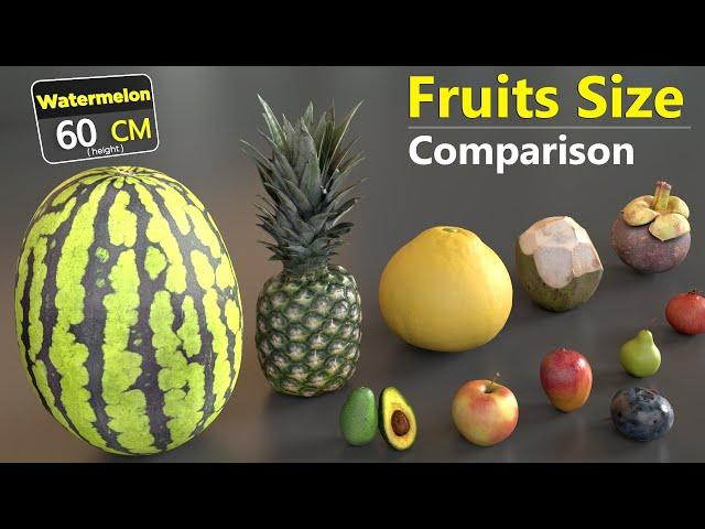 Different Fruits Size Comparison | 3D