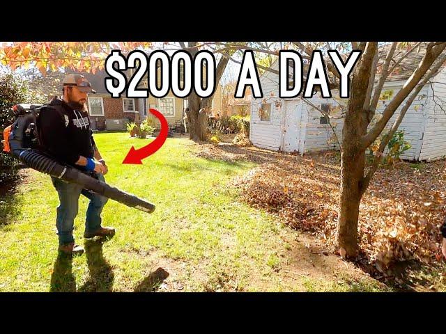 How To Make $2000 A Day Removing Leaves From Peoples Yards