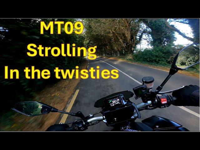 MT09 - Strolling in the Twisties