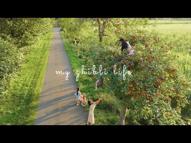 #157 A day of living the Ghibli life: Harvesting apple, drying tomatoes, apple upside down cake...