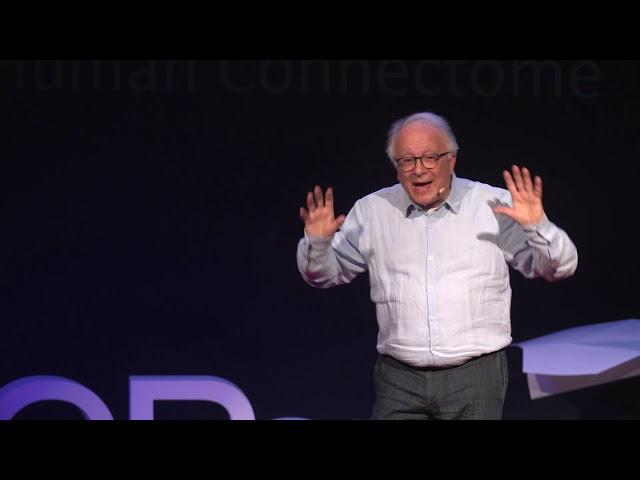 The first 1000 days of life | Sergio Pecorelli | TEDxHECParis