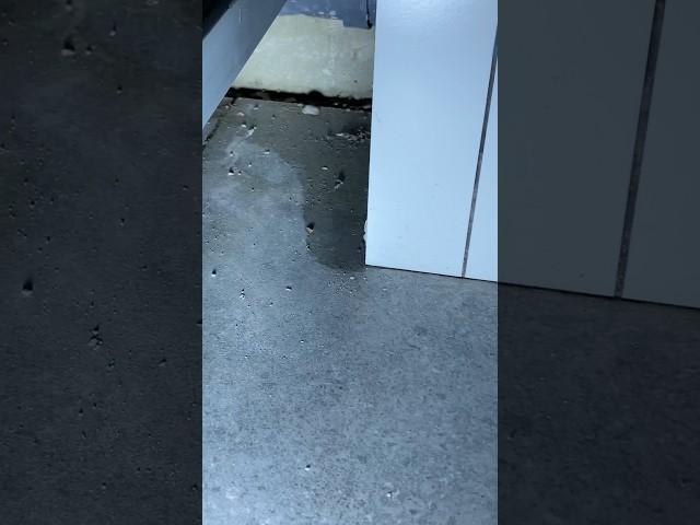 Приемка квартиры в новых корпусах с отделкой в ЖК #ЛЮБЕРЦЫ от застройщика Самолет #проф #новостройки