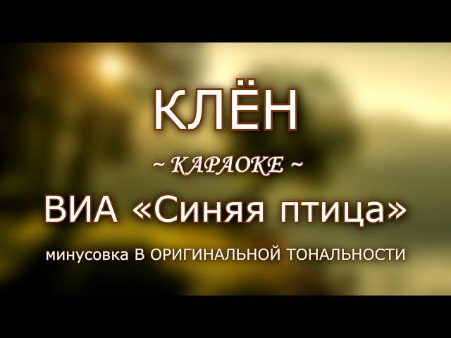 Клён ~ КАРАОКЕ ~ ВИА "Синяя птица" [там, где клён шумит...]
