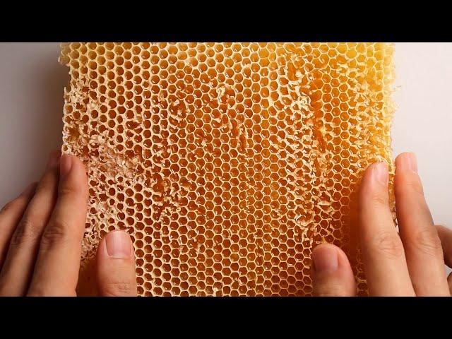 ASMR Most Satisfying Honeycomb Triggers  ASMR 재료는 벌집꿀로 하겠습니다. 근데 이제 밀랍랩을 곁들인.