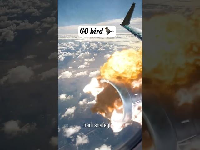 Why do we aeroplane engine fail  || by Chandan sah tutorials.