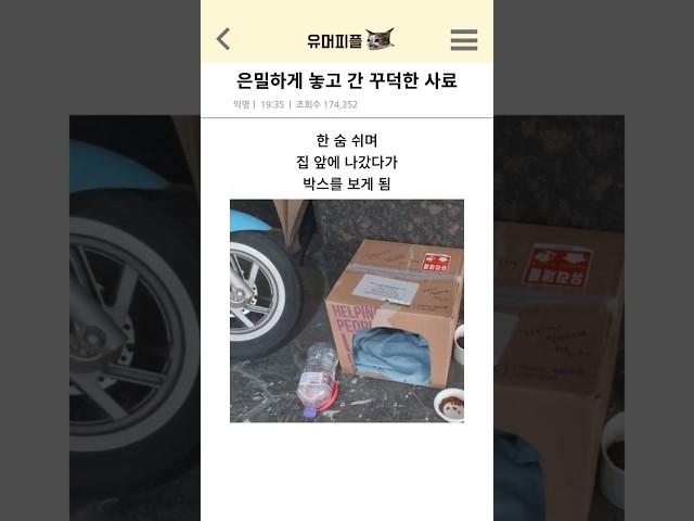 문 앞에 놓고 간 고양이 사료
