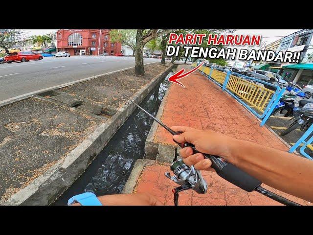 Misi Memburu Haruan di Tengah Bandar! ( Haruan Street Fishing )