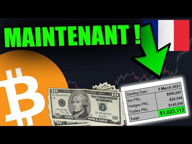 ALL-IN DANS LE BITCOIN ET LES ALTCOINS MAINTENANT ! ! !