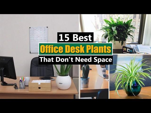 15 Best Office Desk Plants That Don’t Need Space