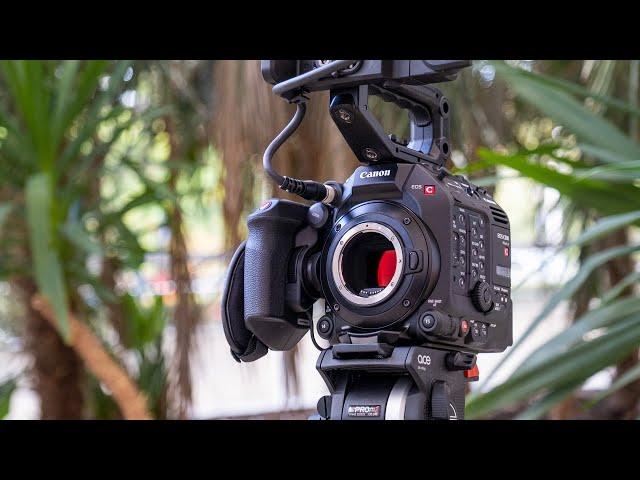 Canon C500 Mark II - Hands on