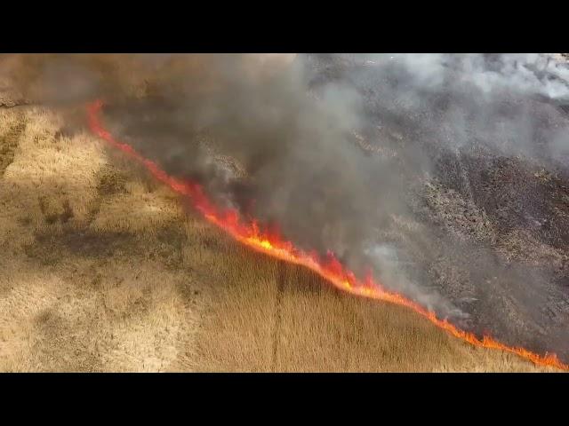 Campagna antincendio boschivo 2022 - Calabria Verde